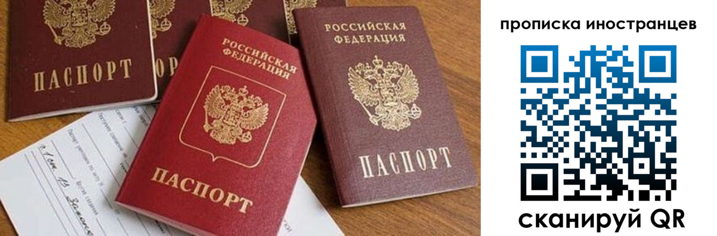 прописка в Светогорске
